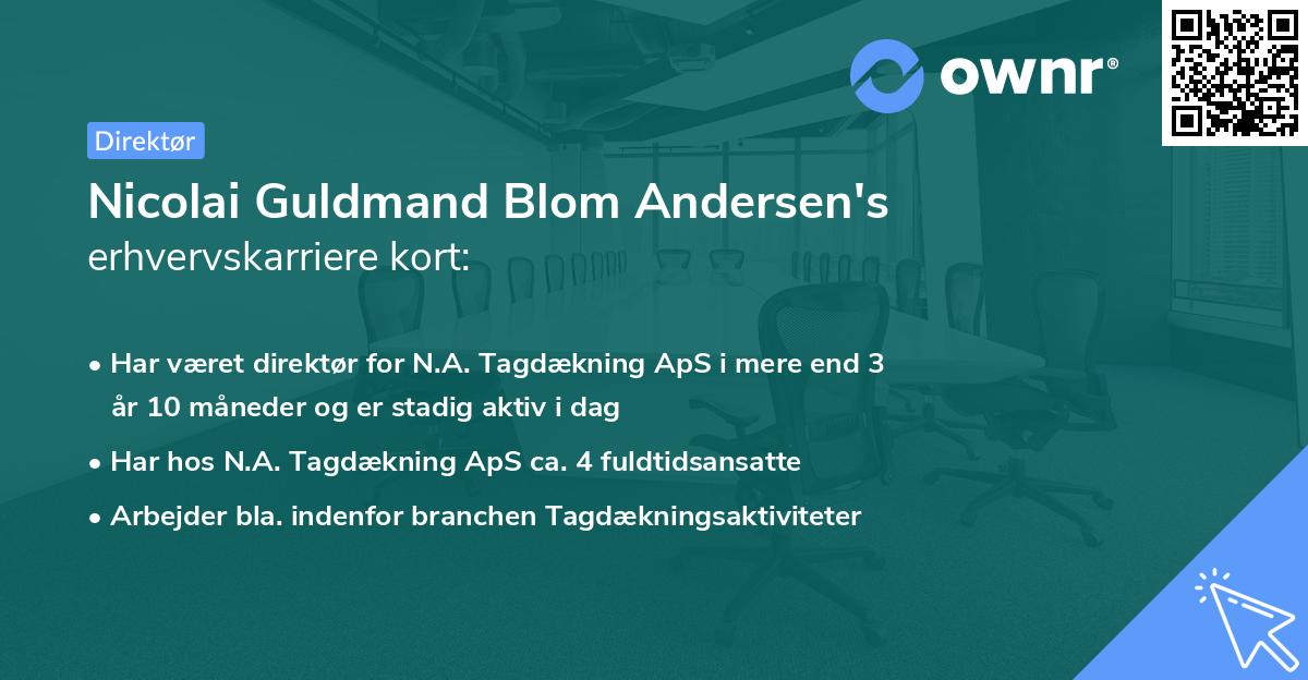 Nicolai Guldmand Blom Andersen's erhvervskarriere kort