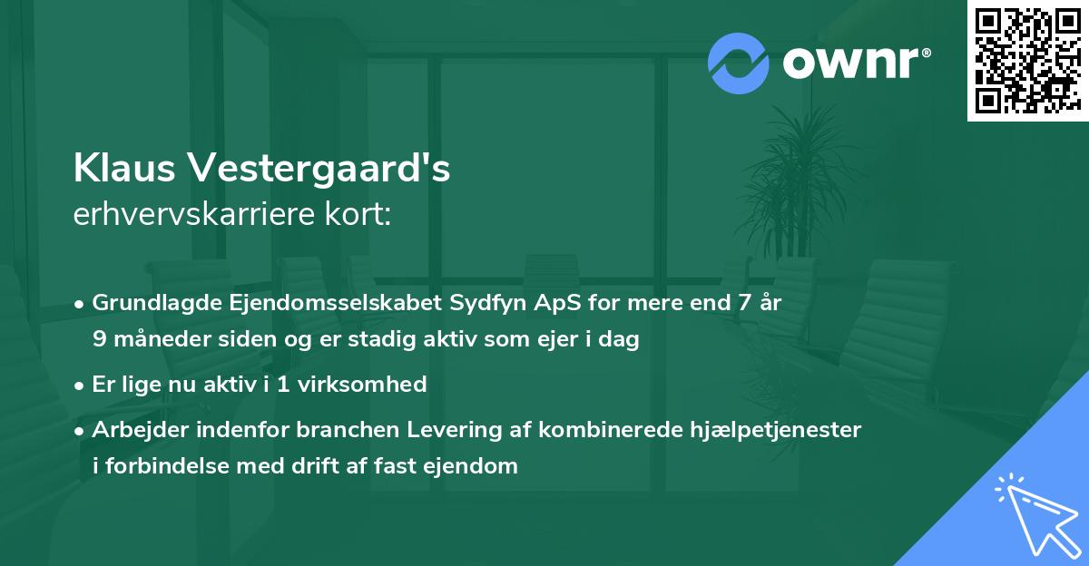Klaus Vestergaard's erhvervskarriere kort