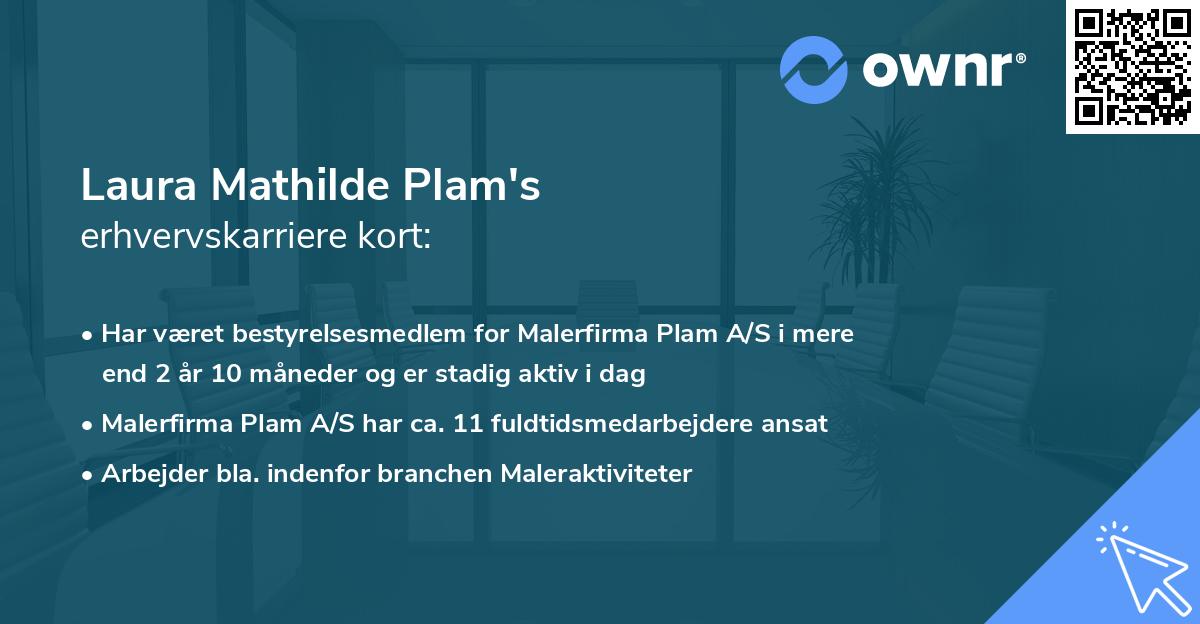 Laura Mathilde Plam's erhvervskarriere kort