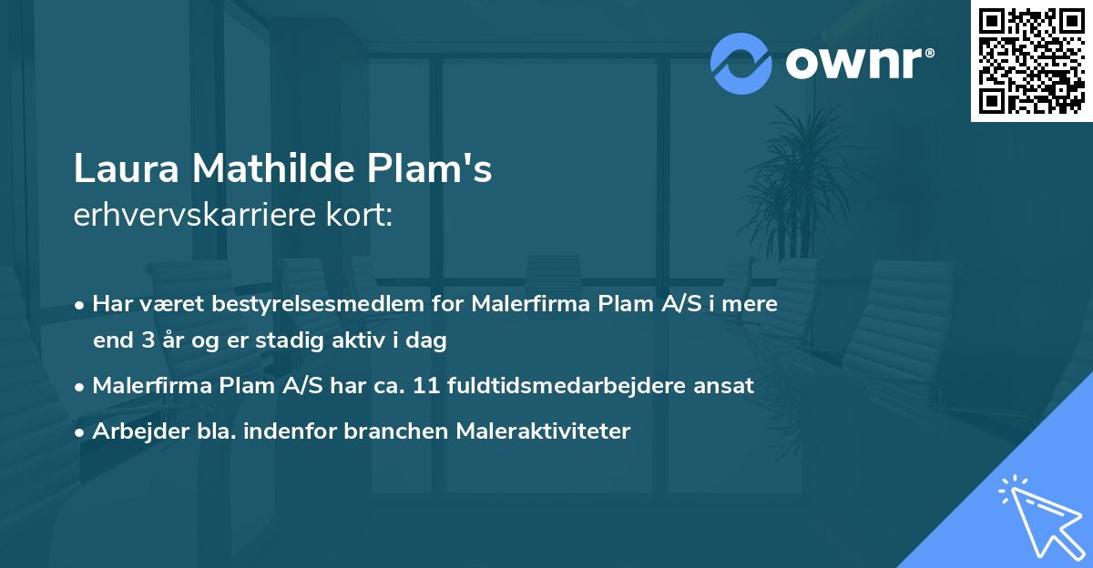 Laura Mathilde Plam's erhvervskarriere kort