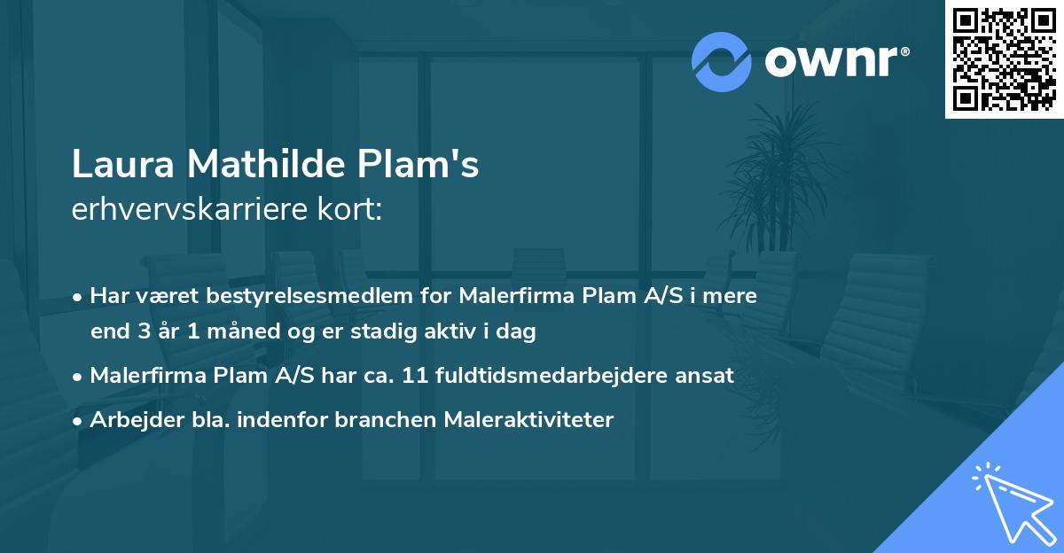 Laura Mathilde Plam's erhvervskarriere kort