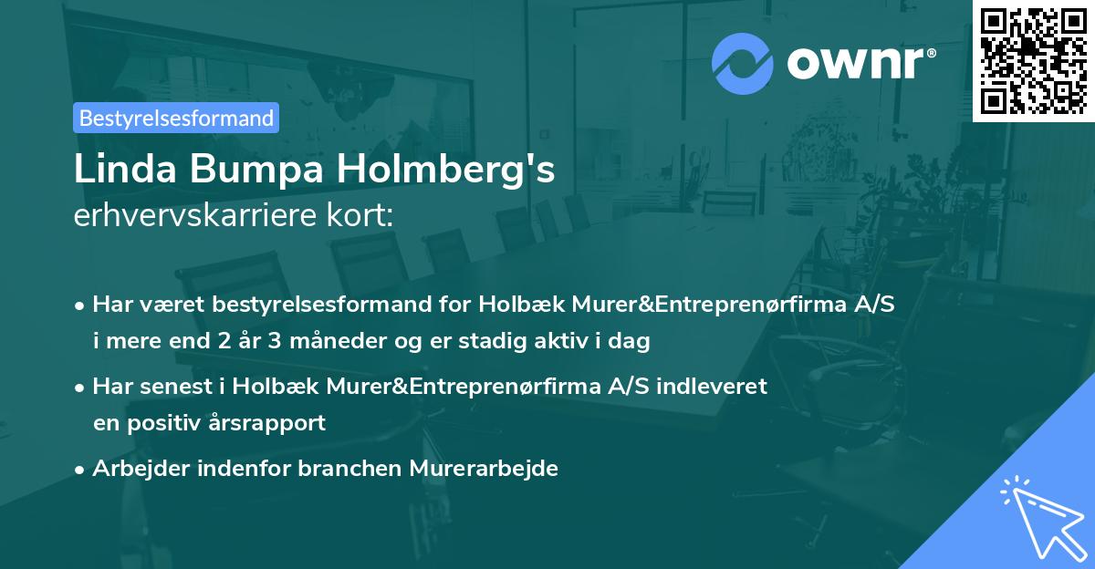 Linda Bumpa Holmberg's erhvervskarriere kort