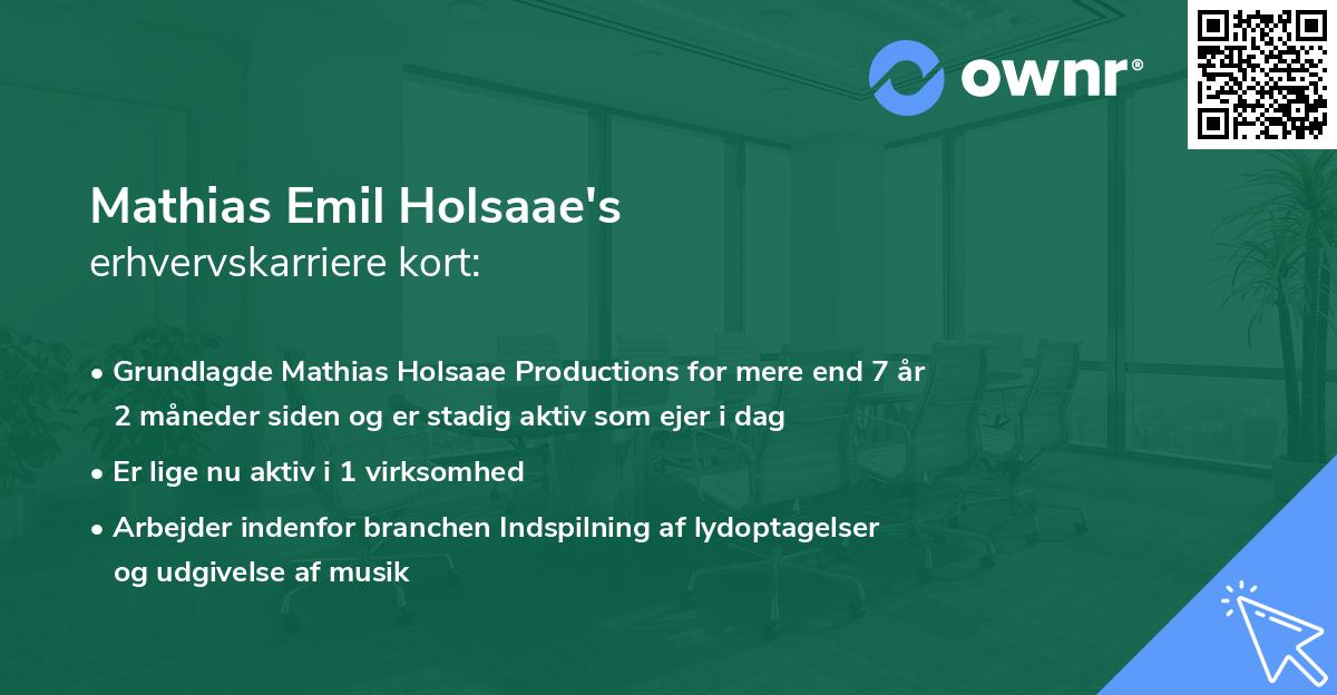 Mathias Emil Holsaae's erhvervskarriere kort