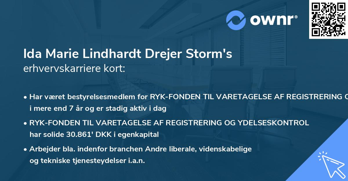 Ida Marie Lindhardt Drejer Storm's erhvervskarriere kort