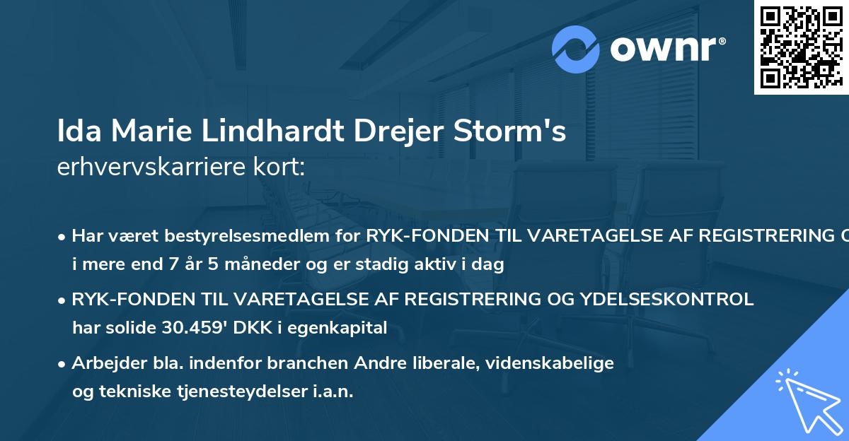 Ida Marie Lindhardt Drejer Storm's erhvervskarriere kort