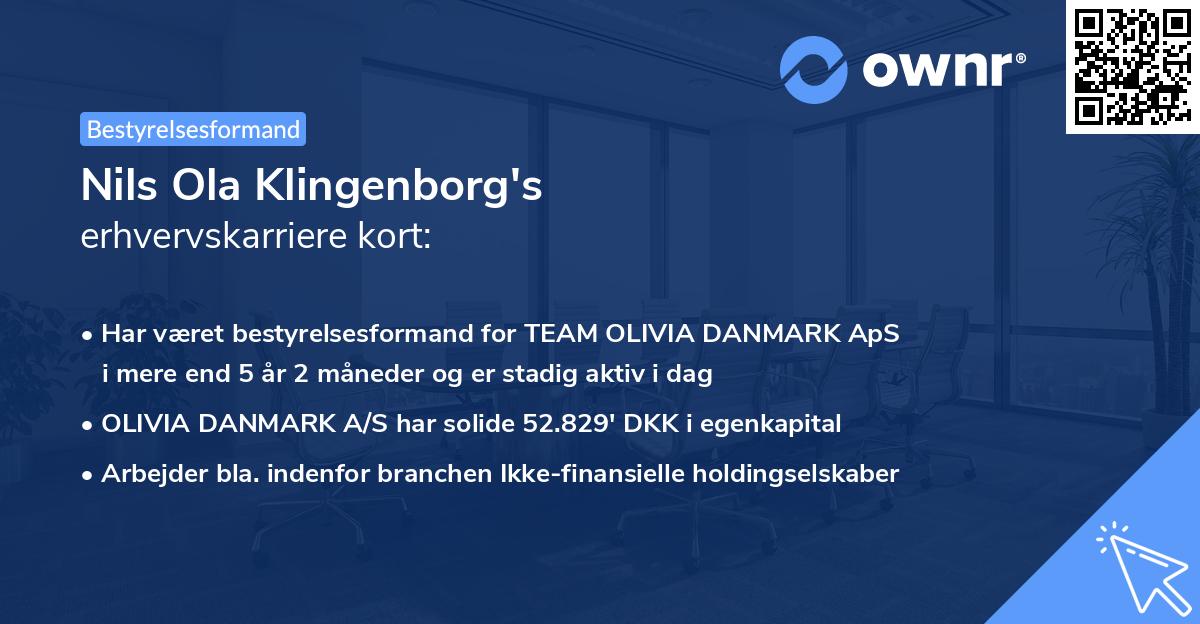 Nils Ola Klingenborg's erhvervskarriere kort