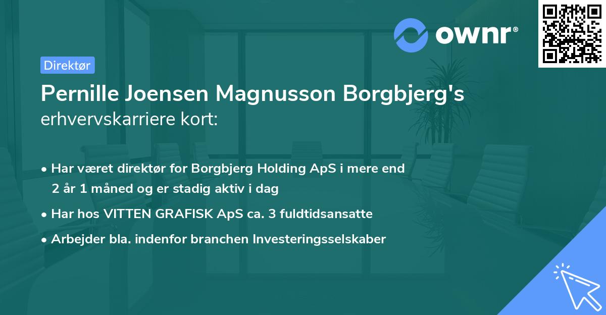 Pernille Joensen Magnusson Borgbjerg's erhvervskarriere kort
