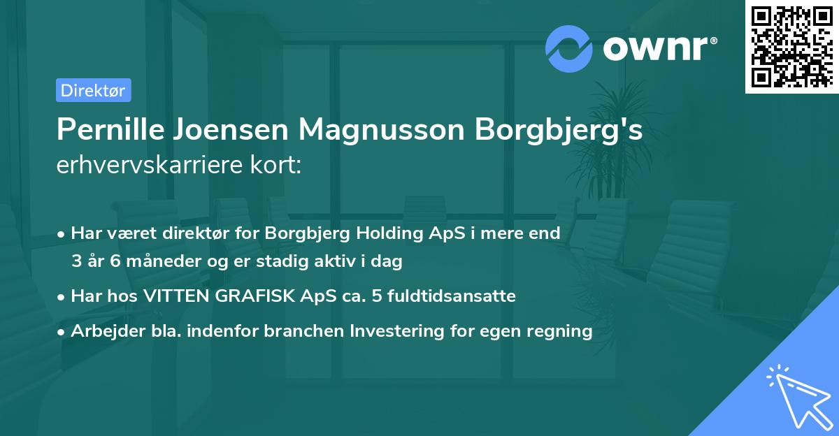 Pernille Joensen Magnusson Borgbjerg's erhvervskarriere kort