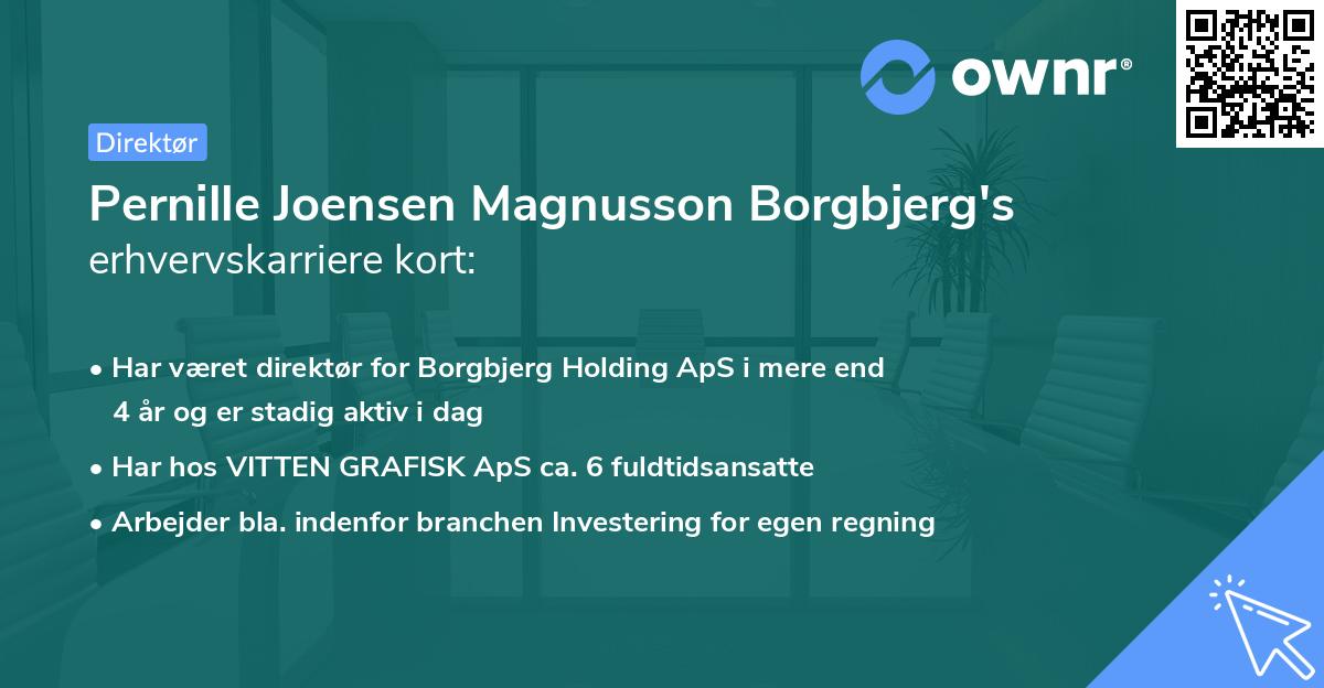 Pernille Joensen Magnusson Borgbjerg's erhvervskarriere kort