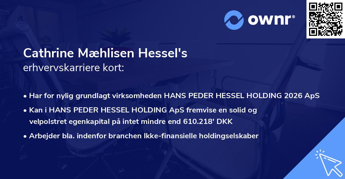 Cathrine Mæhlisen Hessel's erhvervskarriere kort