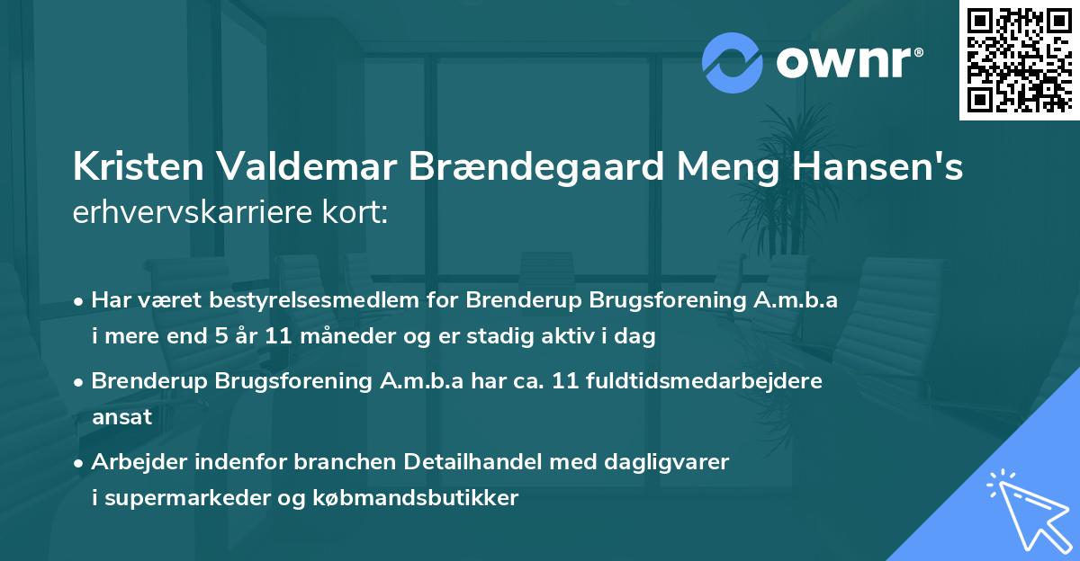 Kristen Valdemar Brændegaard Meng Hansen's erhvervskarriere kort