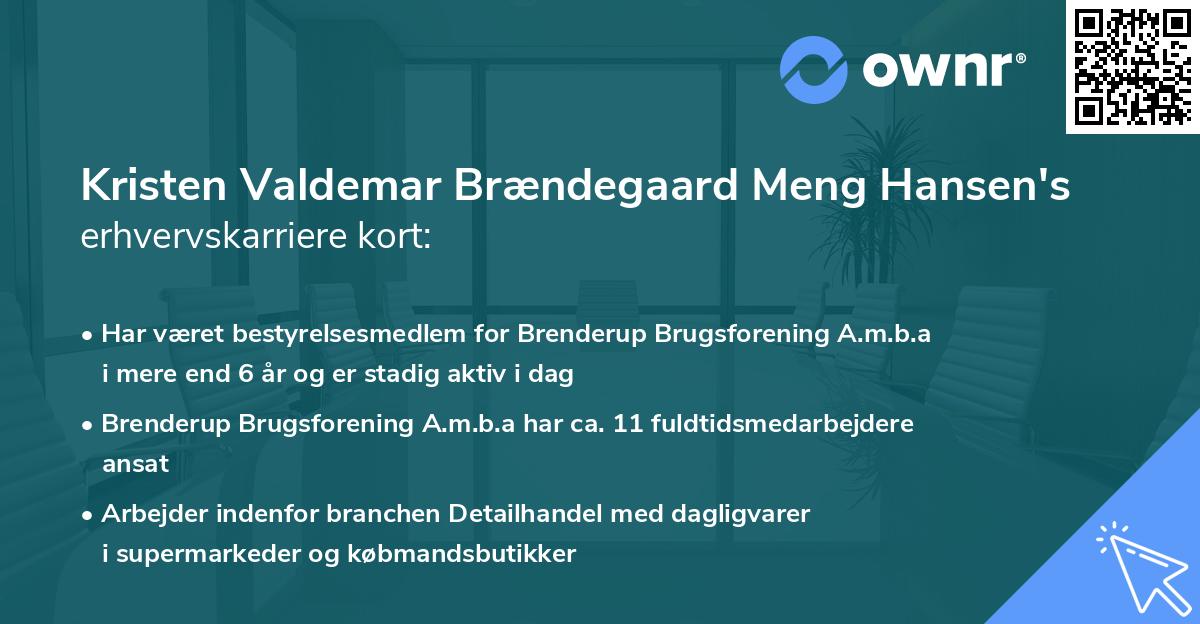 Kristen Valdemar Brændegaard Meng Hansen's erhvervskarriere kort