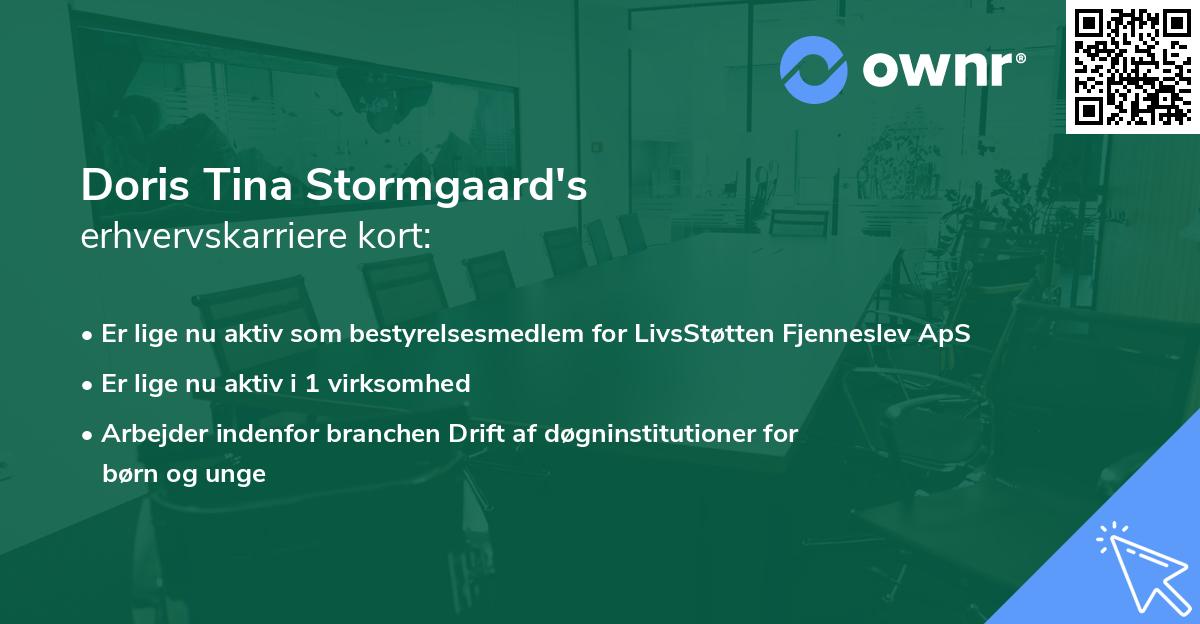 Doris Tina Stormgaard's erhvervskarriere kort