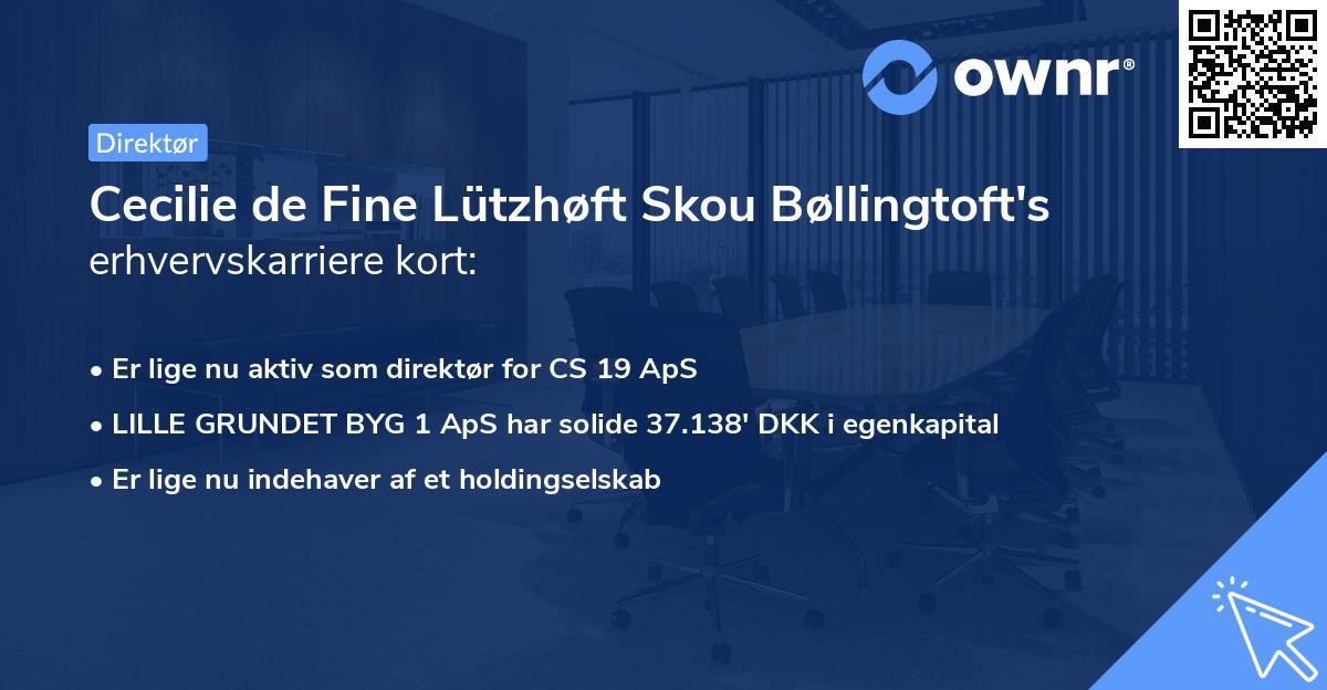 Cecilie de Fine Lützhøft Skou Bøllingtoft's erhvervskarriere kort