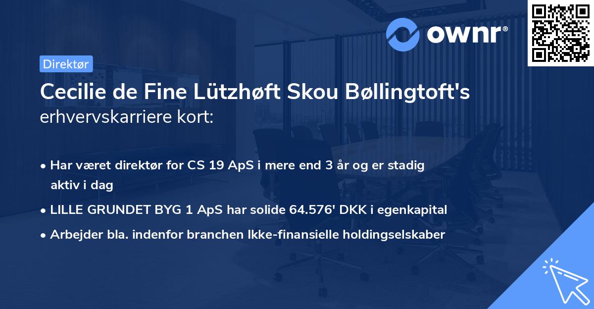 Cecilie de Fine Lützhøft Skou Bøllingtoft's erhvervskarriere kort
