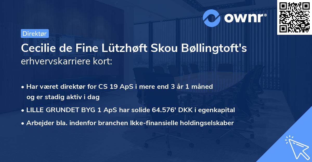 Cecilie de Fine Lützhøft Skou Bøllingtoft's erhvervskarriere kort