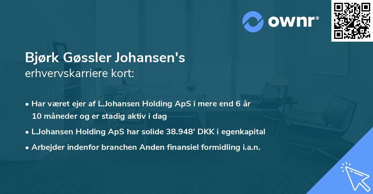 Bjørk Gøssler Johansen's erhvervskarriere kort