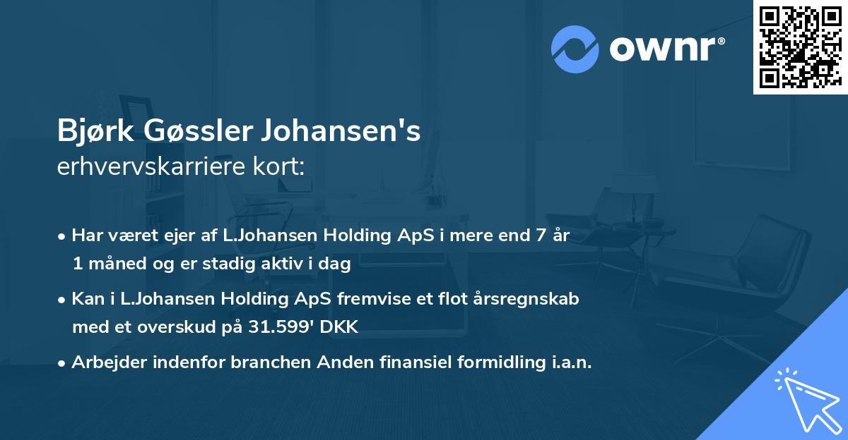 Bjørk Gøssler Johansen's erhvervskarriere kort