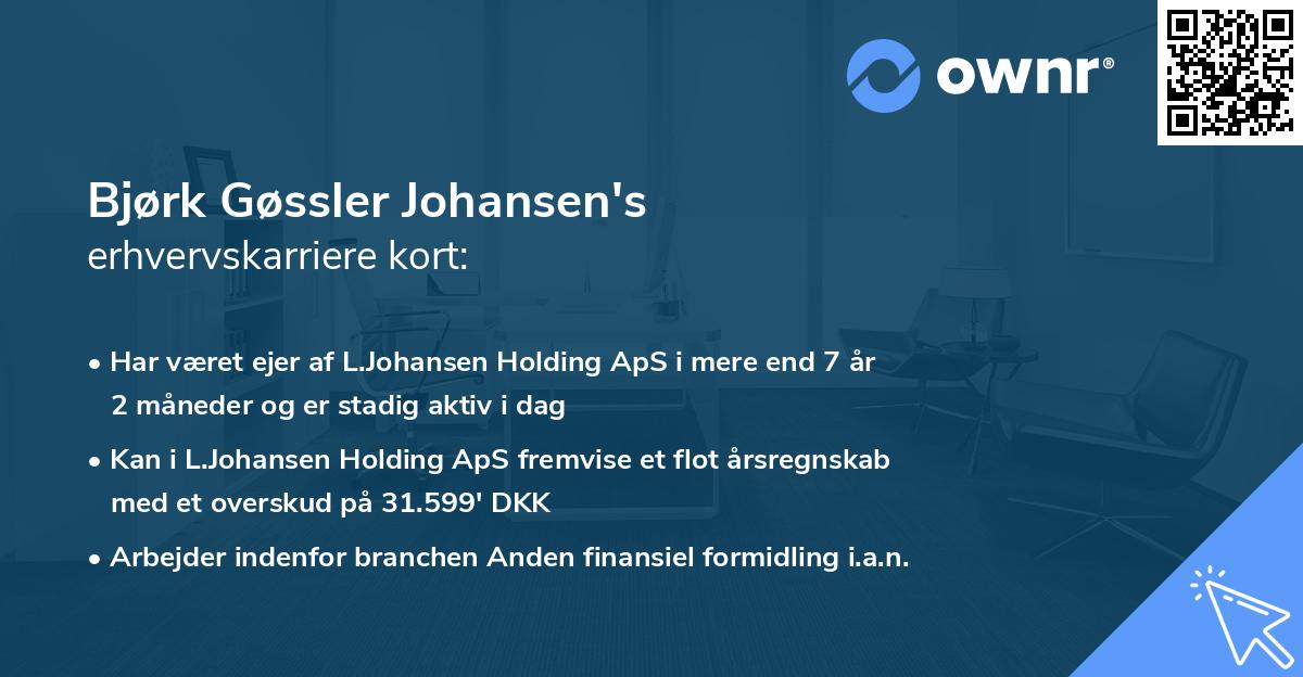 Bjørk Gøssler Johansen's erhvervskarriere kort
