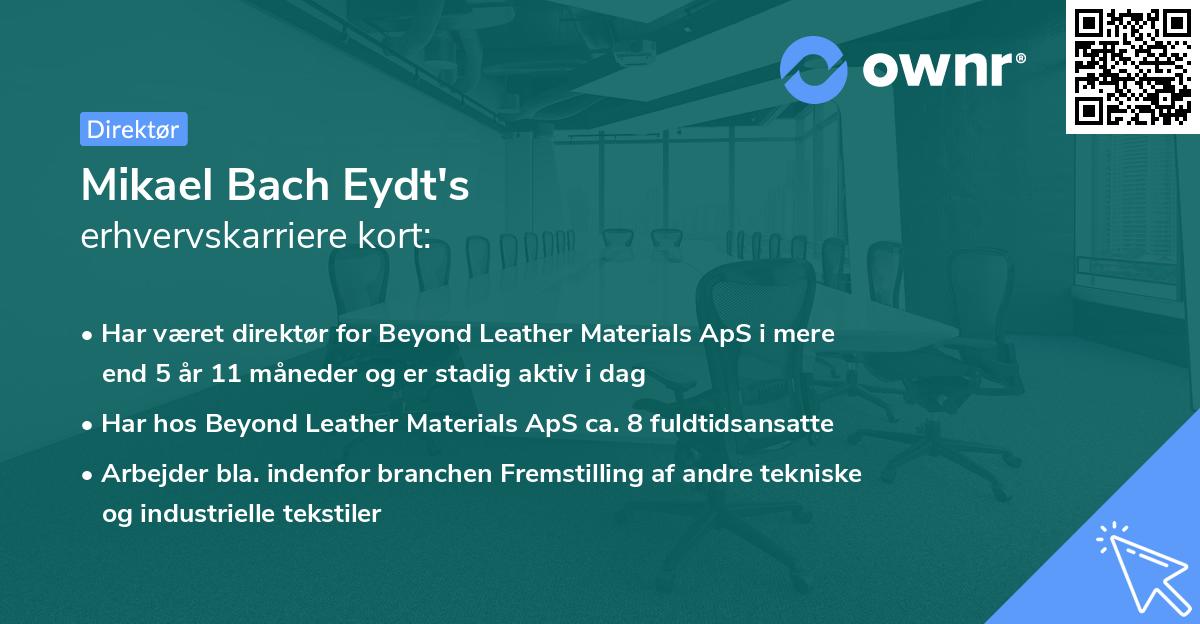 Mikael Bach Eydt's erhvervskarriere kort