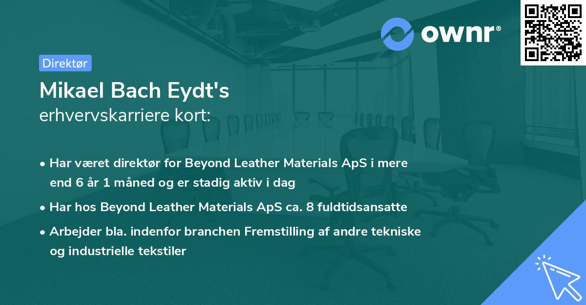 Mikael Bach Eydt's erhvervskarriere kort