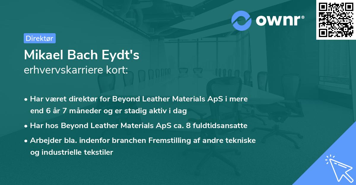 Mikael Bach Eydt's erhvervskarriere kort