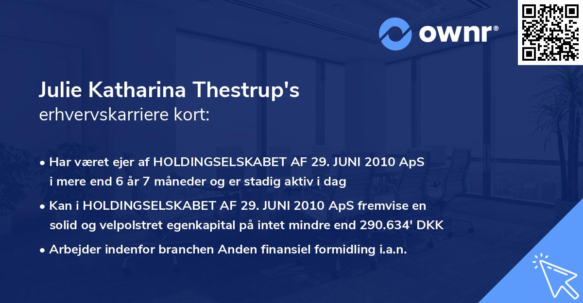 Julie Katharina Thestrup's erhvervskarriere kort