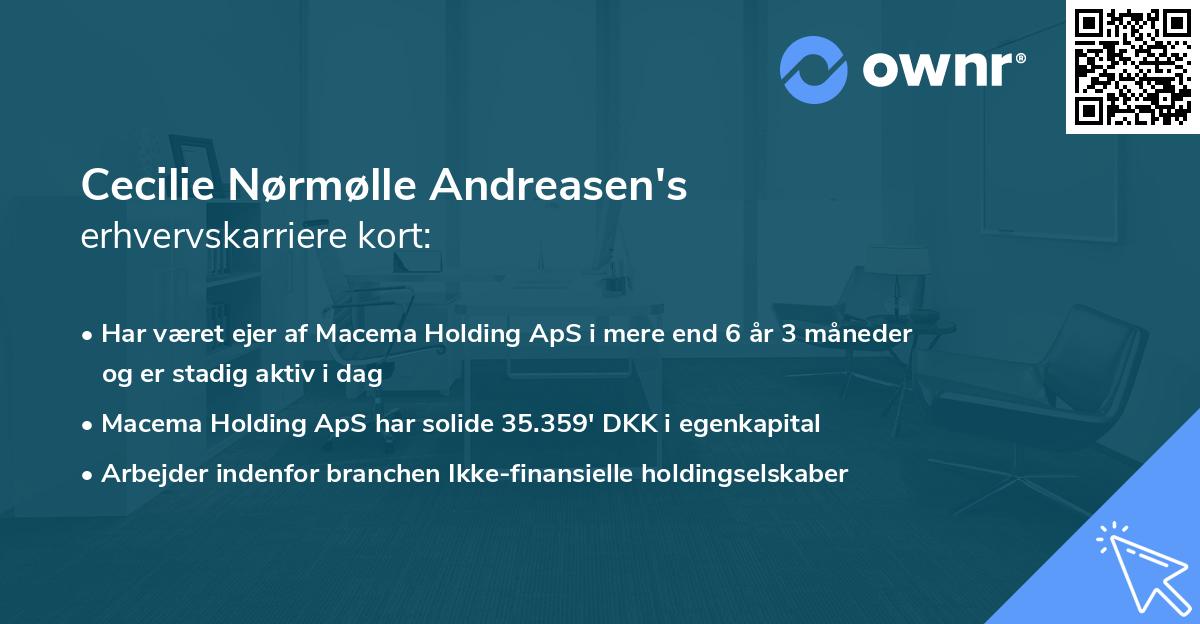 Cecilie Nørmølle Andreasen's erhvervskarriere kort