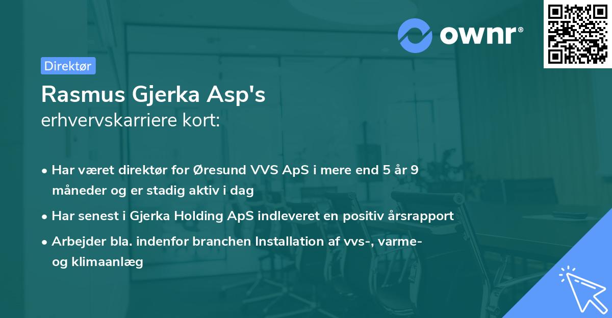 Rasmus Gjerka Asp's erhvervskarriere kort