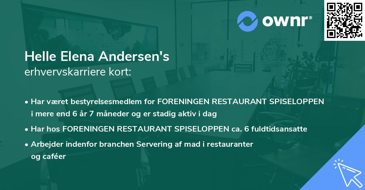 Helle Elena Andersen's erhvervskarriere kort