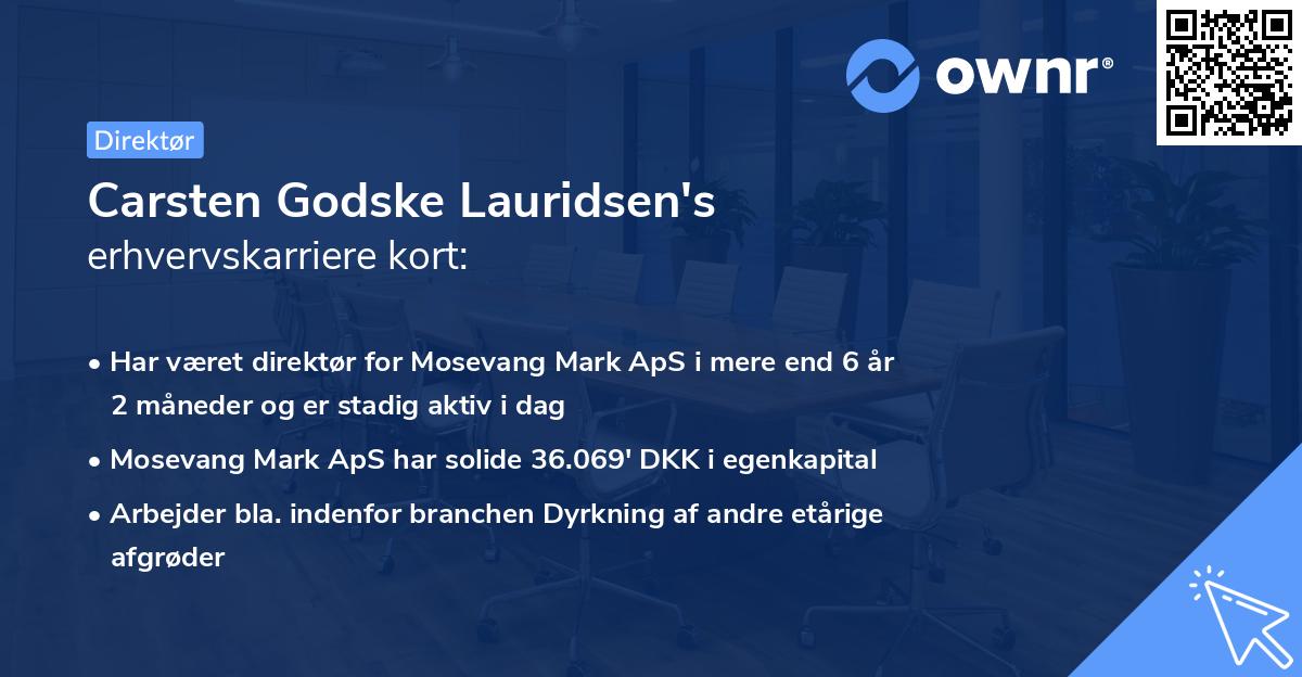 Carsten Godske Lauridsen's erhvervskarriere kort