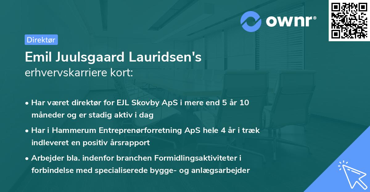 Emil Juulsgaard Lauridsen's erhvervskarriere kort