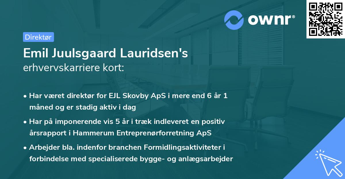 Emil Juulsgaard Lauridsen's erhvervskarriere kort