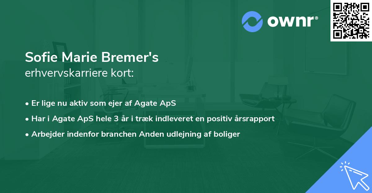 Sofie Marie Bremer's erhvervskarriere kort