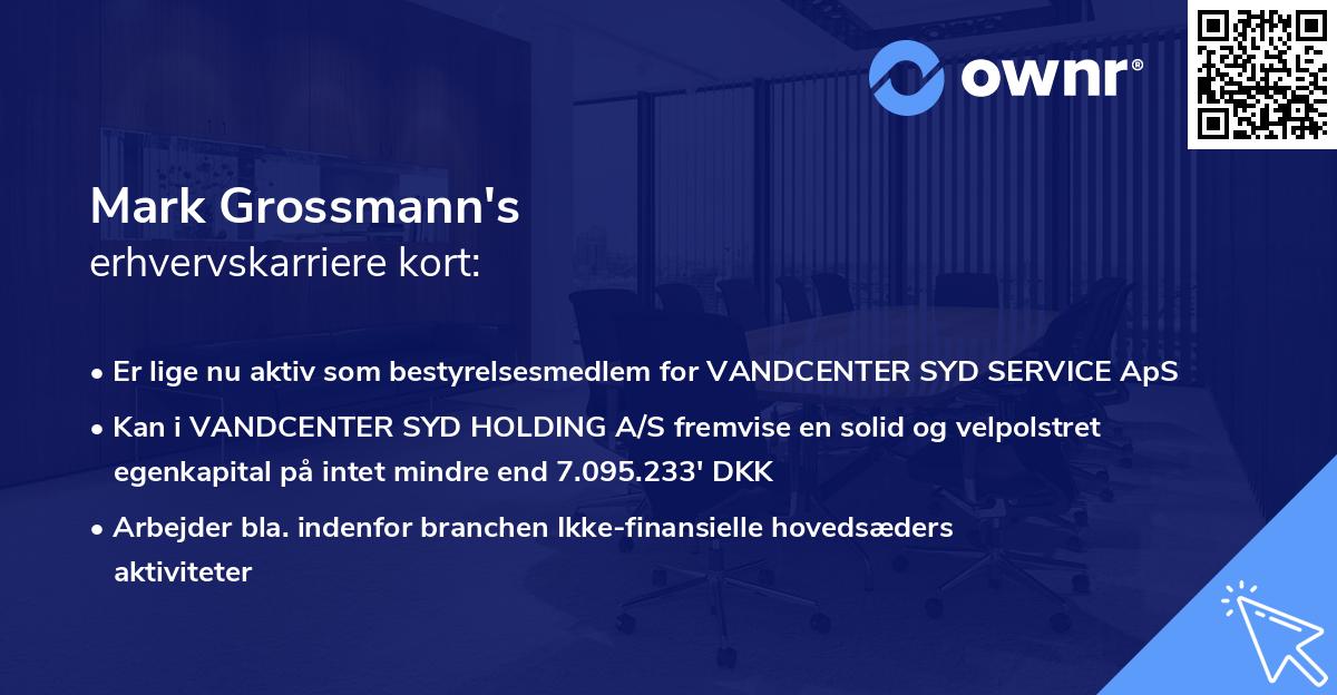 Mark Grossmann's erhvervskarriere kort