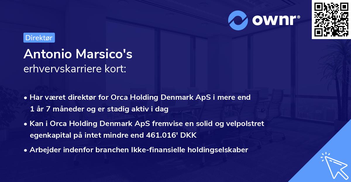 Antonio Marsico's erhvervskarriere kort