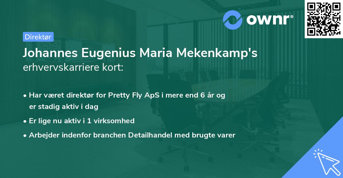 Johannes Eugenius Maria Mekenkamp's erhvervskarriere kort