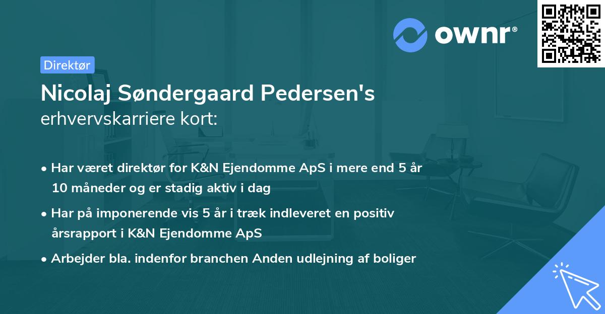 Nicolaj Søndergaard Pedersen's erhvervskarriere kort
