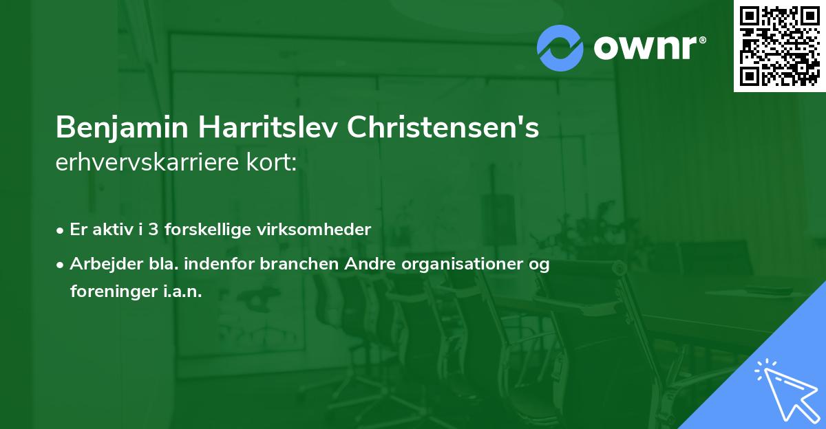 Benjamin Harritslev Christensen's erhvervskarriere kort