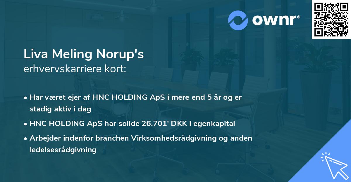 Liva Meling Norup's erhvervskarriere kort