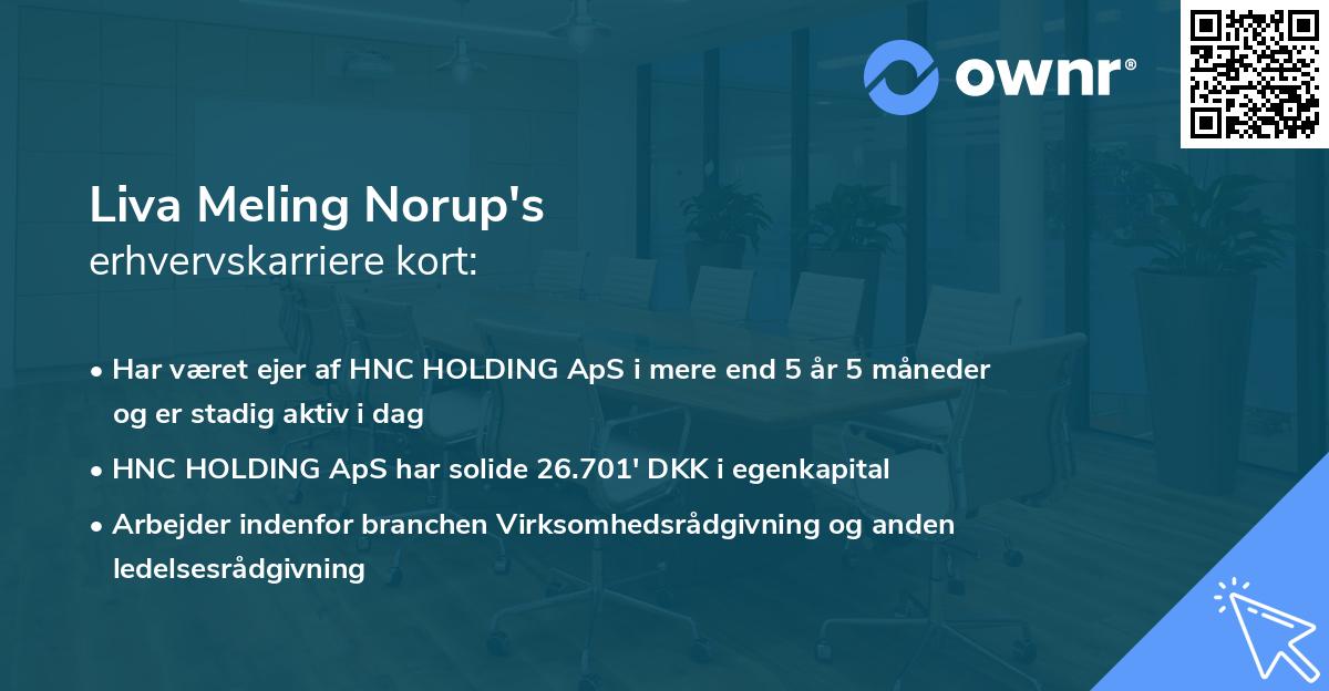 Liva Meling Norup's erhvervskarriere kort