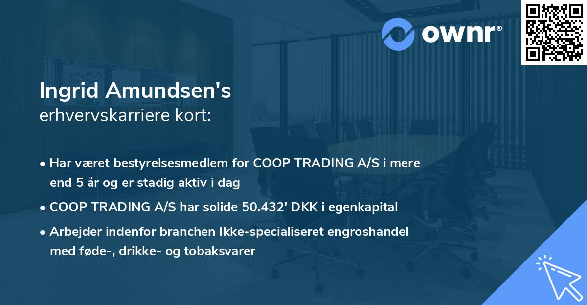 Ingrid Amundsen's erhvervskarriere kort