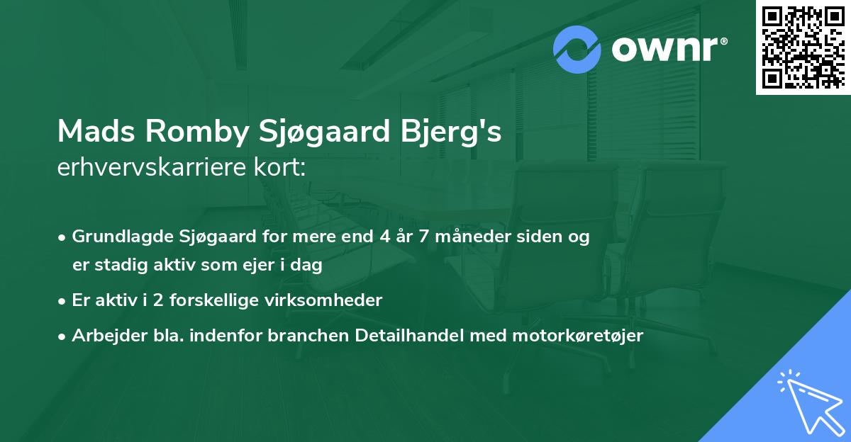Mads Romby Sjøgaard Bjerg's erhvervskarriere kort