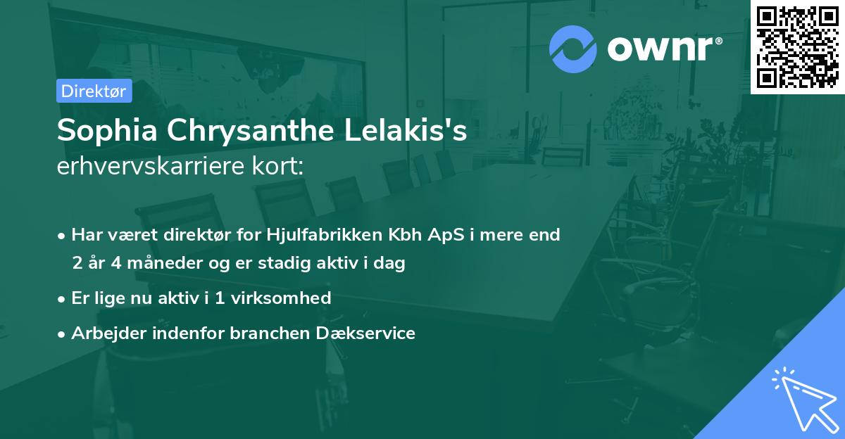 Sophia Chrysanthe Lelakis's erhvervskarriere kort