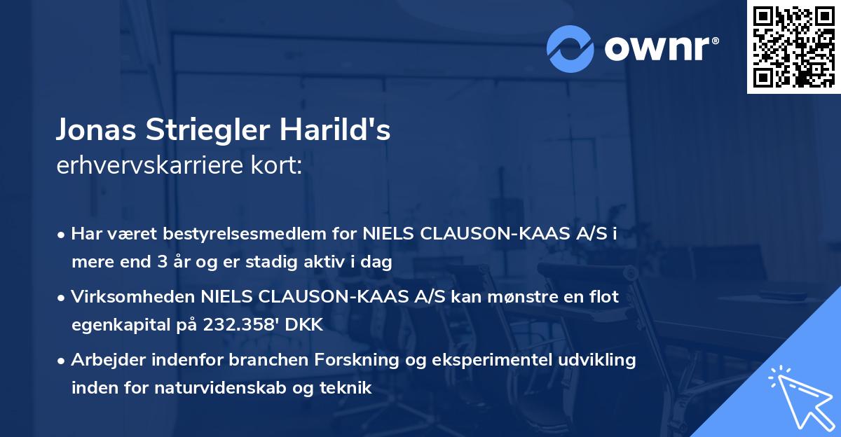 Jonas Striegler Harild's erhvervskarriere kort