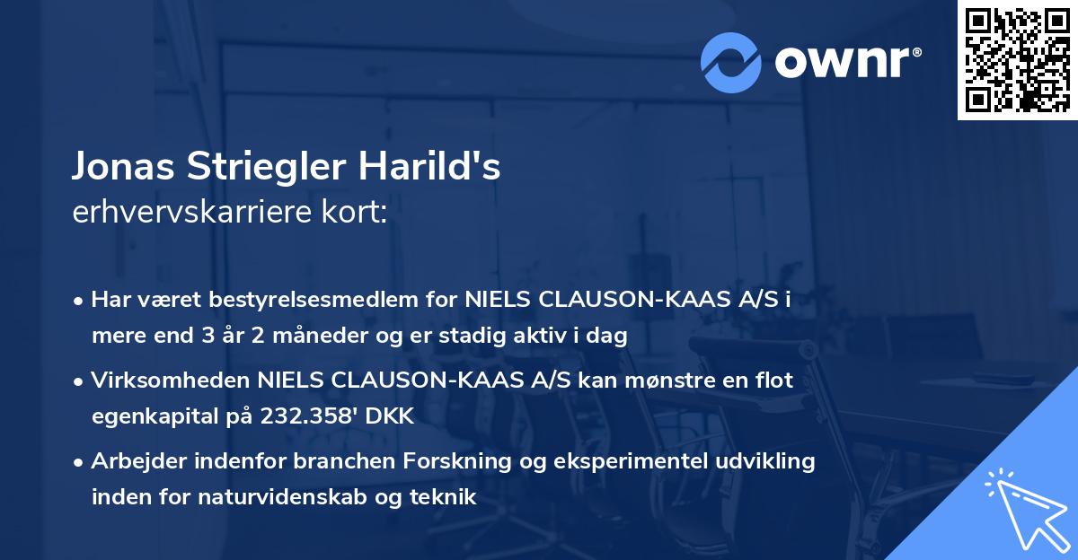 Jonas Striegler Harild's erhvervskarriere kort
