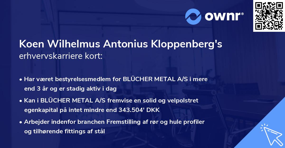 Koen Wilhelmus Antonius Kloppenberg's erhvervskarriere kort