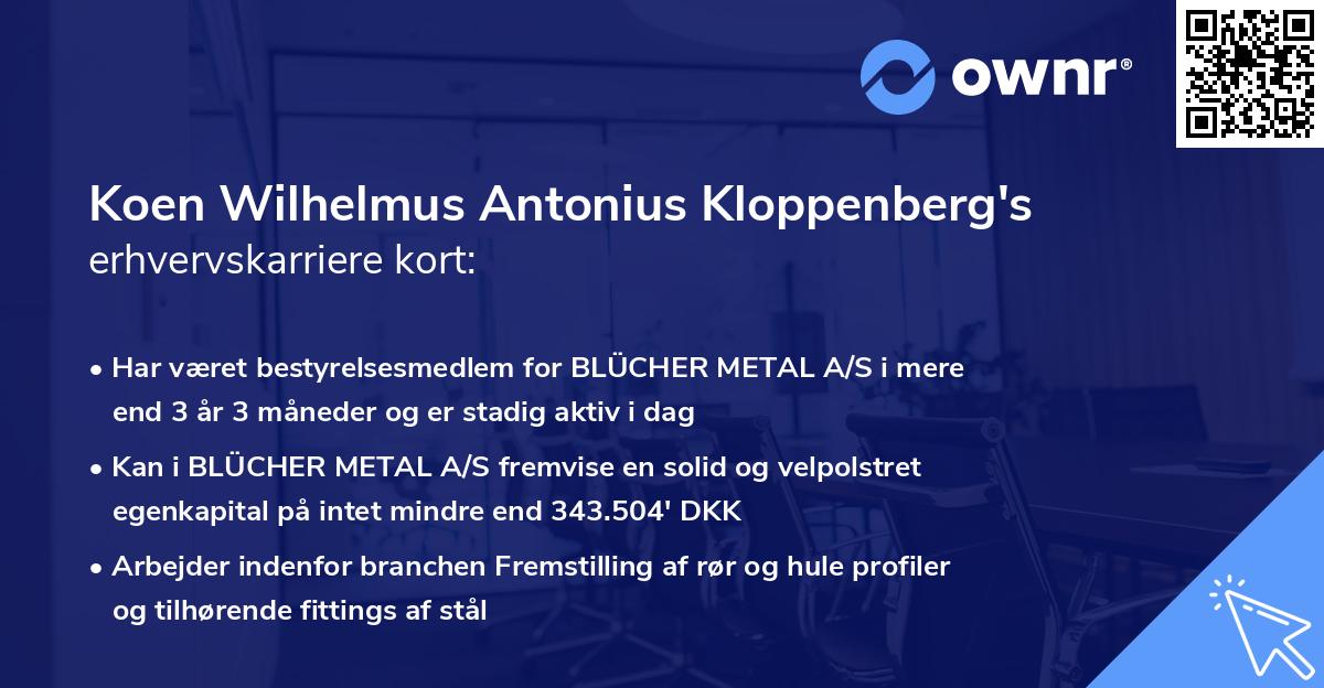 Koen Wilhelmus Antonius Kloppenberg's erhvervskarriere kort