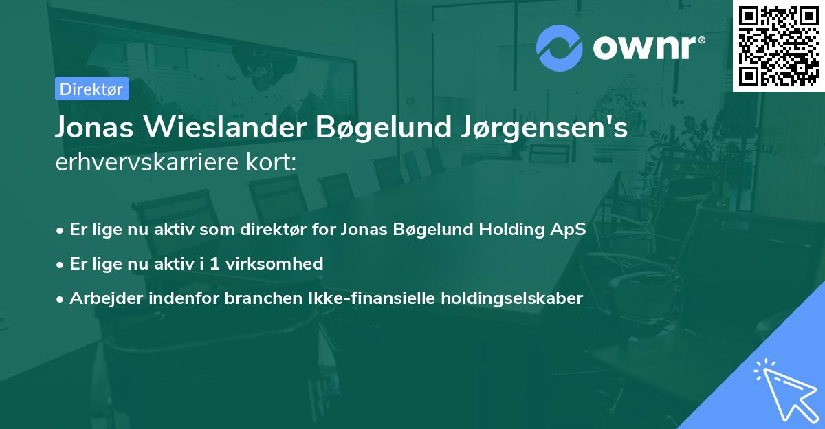 Jonas Wieslander Bøgelund Jørgensen's erhvervskarriere kort
