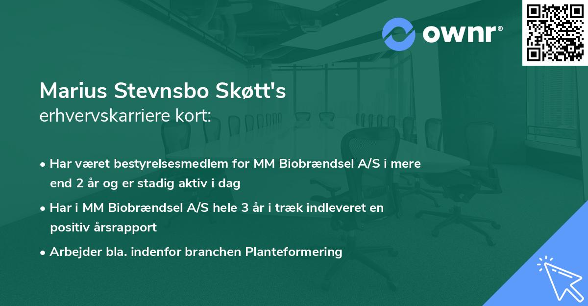 Marius Stevnsbo Skøtt's erhvervskarriere kort